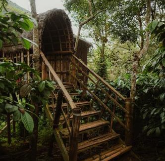 Kalpetta Other | Greenex farm Resort