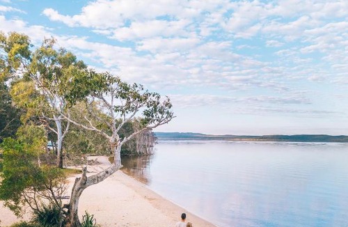 Boreen Point Other | Habitat Noosa