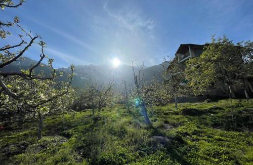 Manali Hotel | Heavens retreat