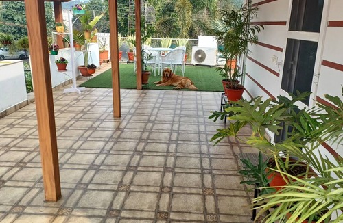 Patiala House | Home Away From Home
