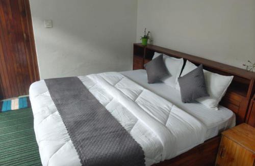 Old Manali Hotel | Hotel Alpine Manali