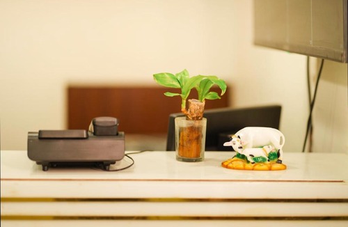 Sarnath Hotel | Hotel KS Palace