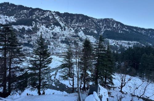 Manali Hotel | Hotel Old Manali with Balcony, Mountain and River View