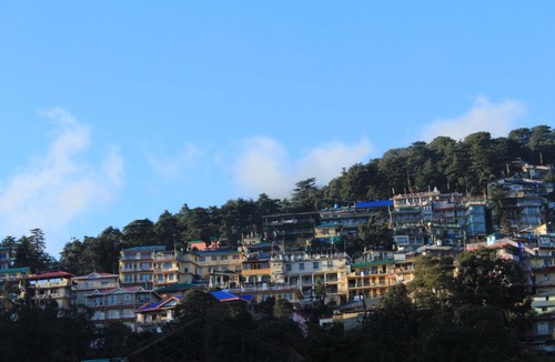 McLeod Ganj Hotel | Hotel Pine Spring