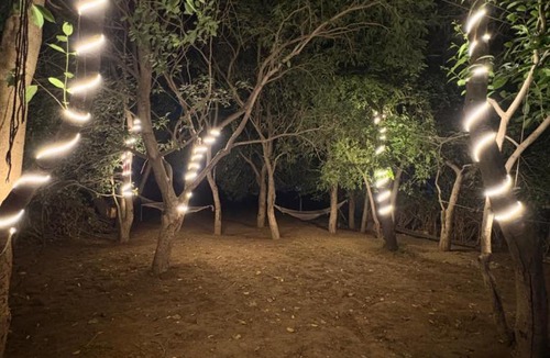 Pushkar Hotel | HOTEL THE PUSHKAR FLOWER