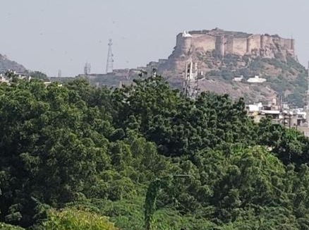 Jodhpur Hostel | Iconic HOSTEL 01 km from Railway Station