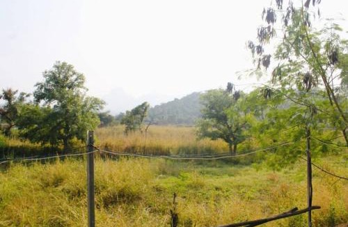 Ulhasnagar Villa | Ivy Maitri Farm 3 Bhk with Private Pool - Badlapur