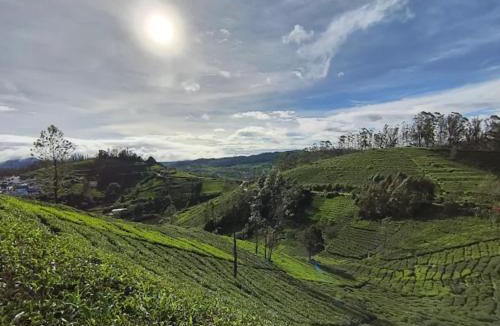 Ithalar Other | Janardan Campsite Ooty