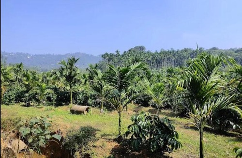 Katakeri Rural House | Kushi estate stay Thalathmane madikeri