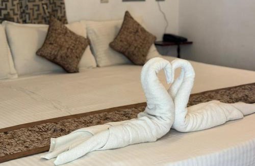 Kalapettai Bed & Breakfast | La Paradise Residency - TIE Hotels