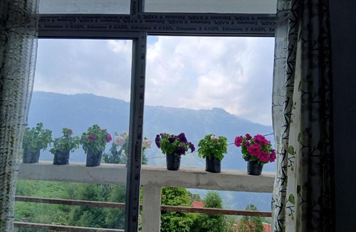 Lebong and Mineral Spring Tea Garden House | LuxeHaven Homestay
