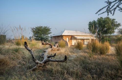 Khattalwada Hotel | MANVĀR Kumat Thar Serenity Camp
