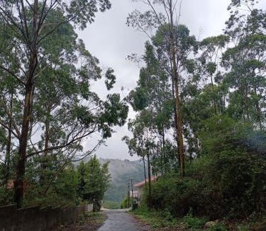 Yercaud House | Misty Hills