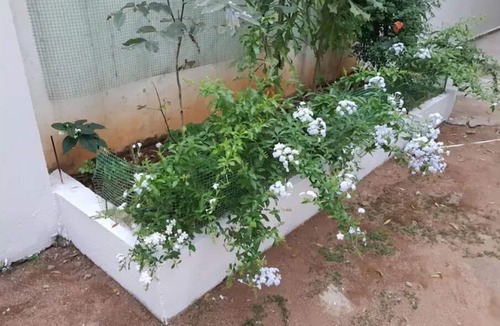 Somajiguda House | Modern 2 BHK unit in the heart of Hyderabad city