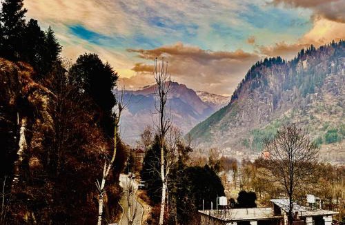 Manali Hotel | Mountain Shadow By Moon Knight Hospitality