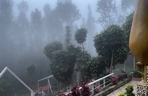 Yercaud Hotel | NATURE'S CRADLE RESORT YERCAUD