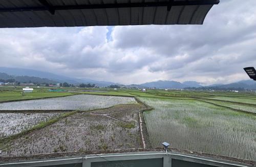 Itanagar House | Pigey Poro Homestay