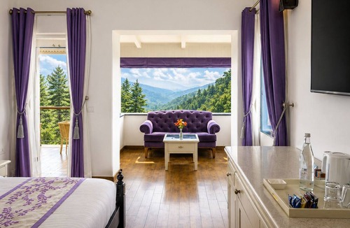 The Mall Road Hotel | Pine Retreat-A Premium Heritage Property