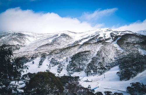 Thredbo Bed & Breakfast | Pure Chalet