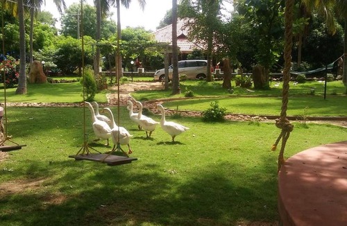 Chittur House | Room in Farmhouse - Mango Village Farm House with Natural Pool