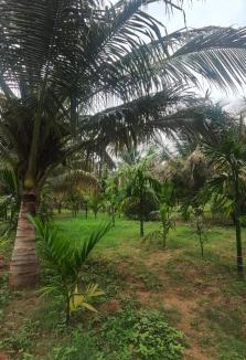 Kanakapura Resort | S R Nature Farms