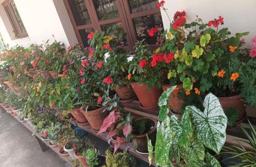Samse House | Samruddhi Farm House