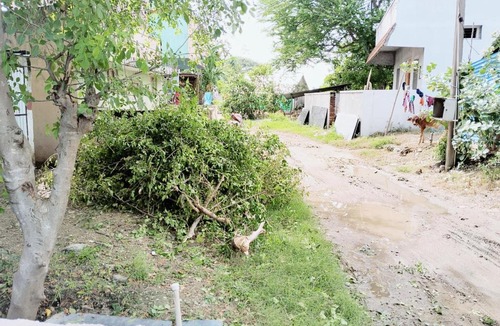 Tiruvannamalai House | Saraswati Hut - Peaceful Stay at Tiru Arunachala Village