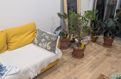 Kilburn Apartment | Seamless Comfort: Guest Room in Shared Modern Apartment