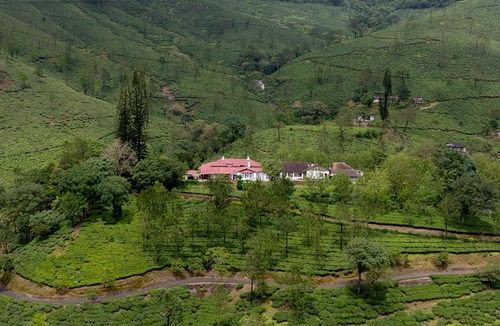 Valparai Hotel | Sereniva Orange Grove Bungalow