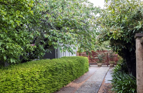 Orange Apartment | Silk Tree Studio | Steps to Cook Park