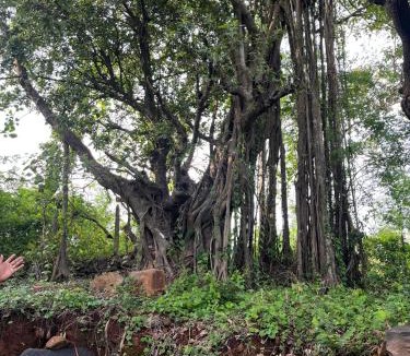 Murud Hotel | Spring Nature Stay