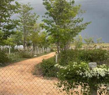 Hosur House | Sreevara Farms