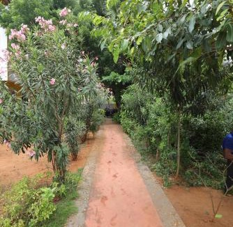 Pondicherry Beach House | Starlight Hotels Jardin Paradiseque
