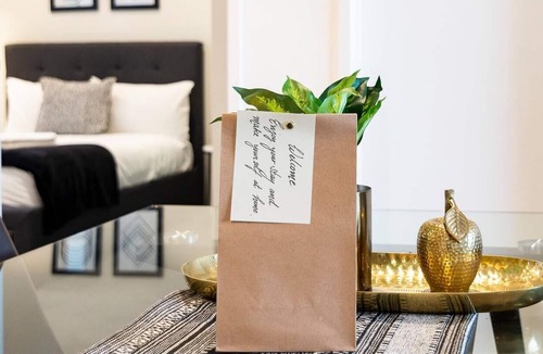 Leichhardt Apartment | Sunny Courtyard Escape in Sydneys Little Italy