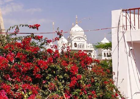 Pushkar House | Tara pushkar