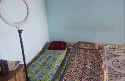 Junnar Other | Tent City Camping Malshej Junnar Agro Tourism & Farm