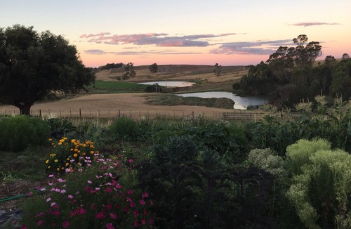 Sassafras Apartment | The Garden Studio at historic farm - Farm stay in Sassafras, Australia