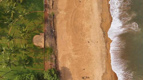 Ponnani Villa | THE HOE - Heaven on Earth