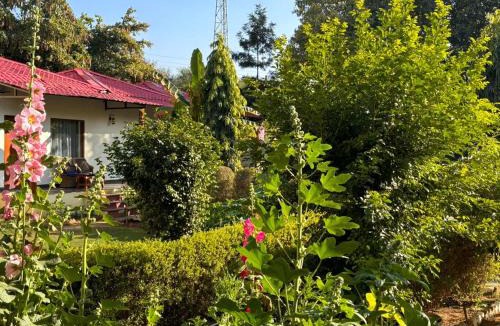 Sawai Madhopur Resort | The jungle retreat ranthambore