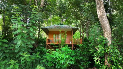 Kattikkulam Resort | Thennal Jungle Camp