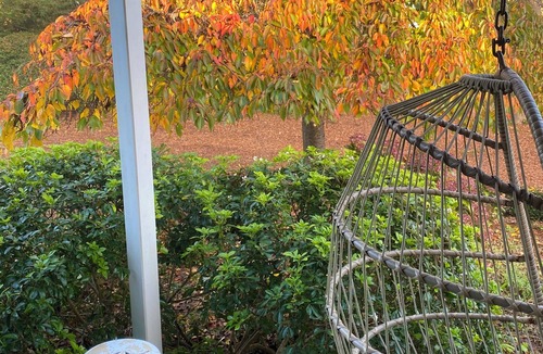 Burradoo Cottage | Tiny Garden Cabin