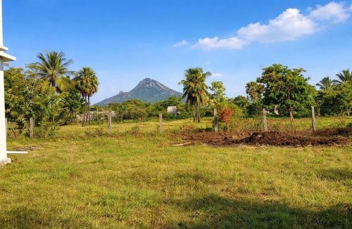 Tiruvannamalai House | Tiru Arunachala - Peaceful Countryside Homestay