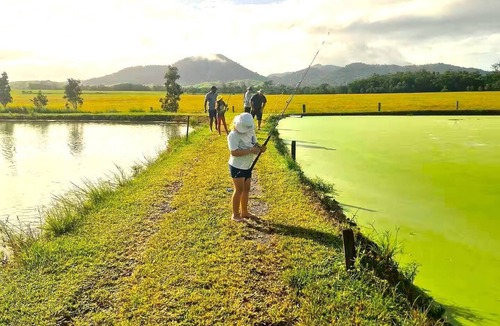 Bingil Bay House | Unique Experience at The Sterling