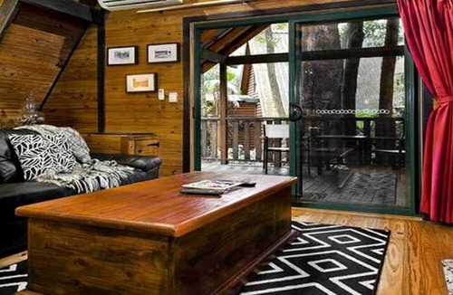 Springbrook Cabin | Unique Rainforest Getaway near Natural Bridge in Queensland