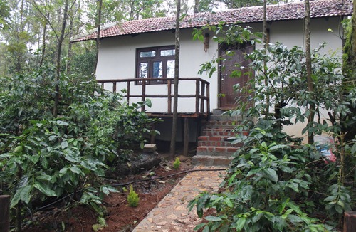 Chikkamagaluru Cottage | Vastare homestay and resort Chikmagalur
