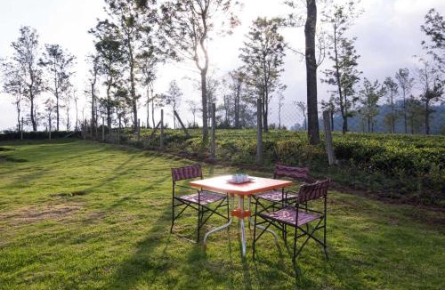 Wellington Villa | Villa Hugel ooty By StayVista