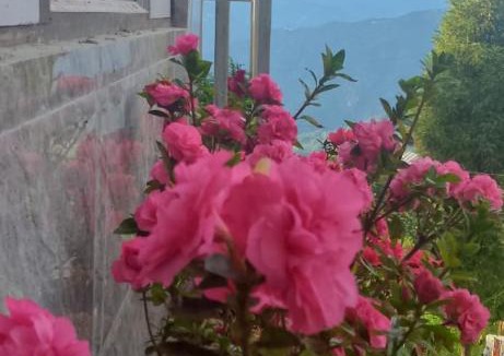 Namchi House | Village view homestay in ravangla