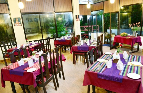 Pallivasal Resort | Violet Woods-The Infinity Pool Resort