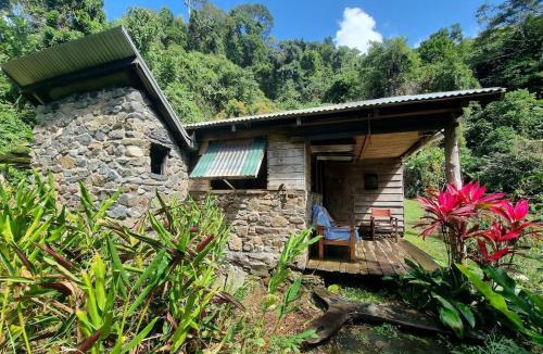 Cape Tribulation House | Where The Forest Meets The Sea