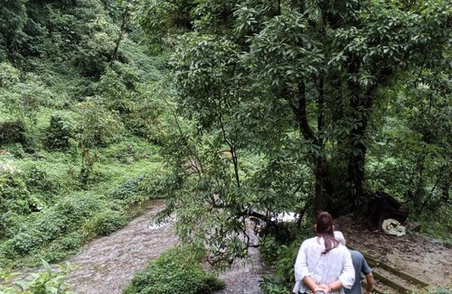 Rumtek House | Whispering Himalayas home stay come resort